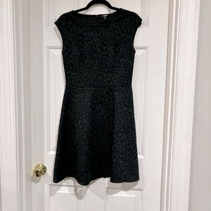Premise Black Leopard Print Dress Size 6